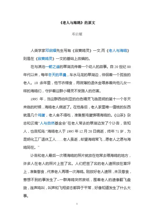 老人与海鸥(原文)