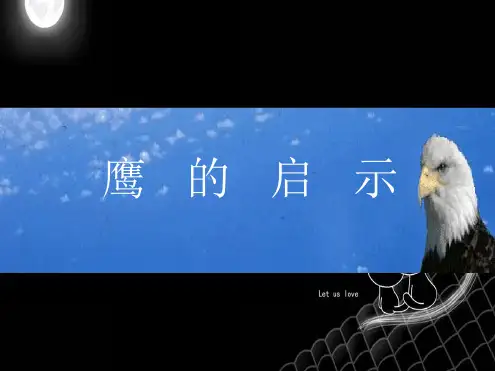改变使你成为最大的赢家(完整版)最新PPT课件