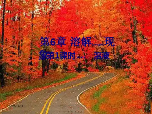 九年级化学下册 第6章 溶解现象(第1课时)溶液课件