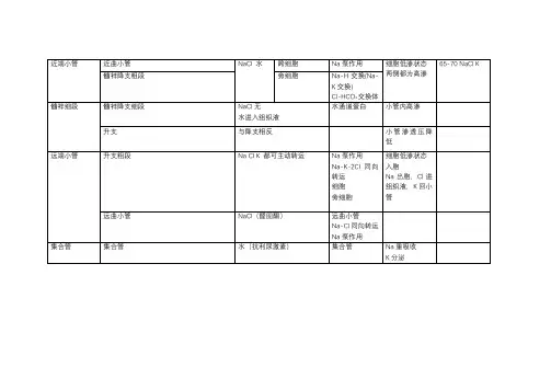 肾脏结构的功能