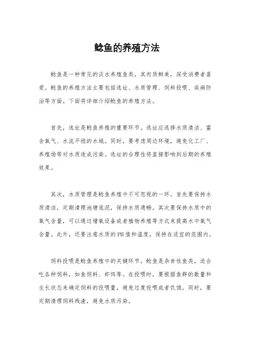 鲶鱼的养殖方法