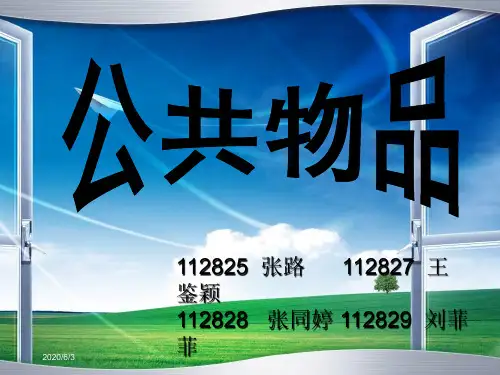 《公共物品》