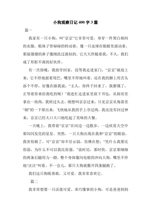 小狗观察日记400字3篇