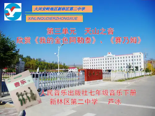 ☆我的金色阿勒泰