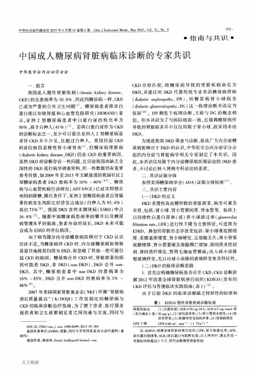 中国成人糖尿病肾脏病临床诊断的专家共识