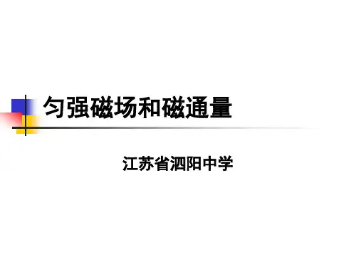 匀强磁场和磁通量解读