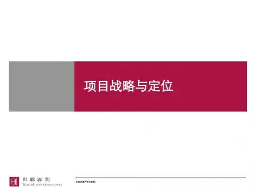 世联--项目前期定位报告模板