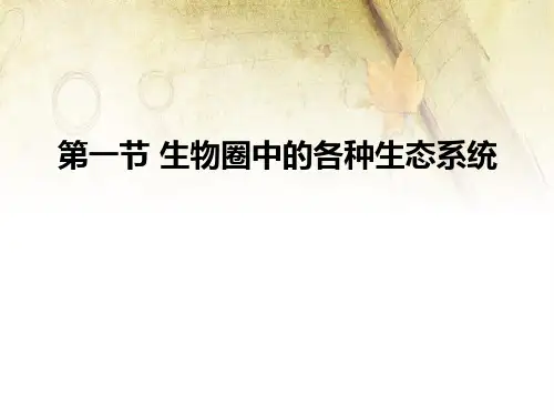 苏教版 生物圈中的各种生态系统 课件