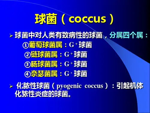 葡萄球菌