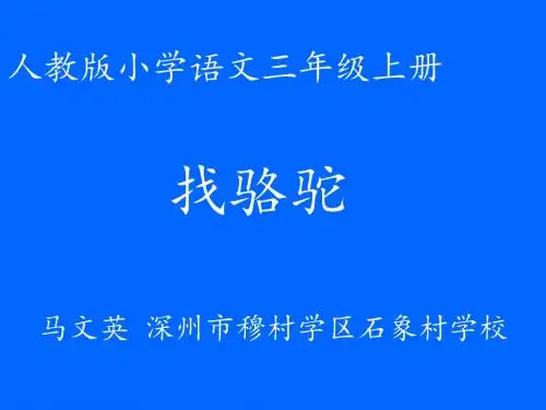 找骆驼