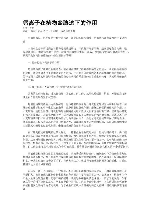 钙离子在植物盐胁迫下的作用