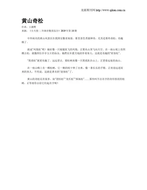 黄山奇松