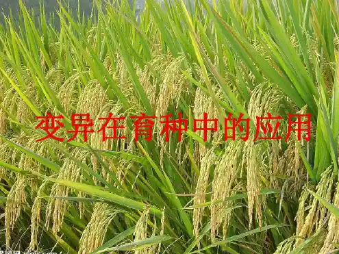 全章复习与测试
