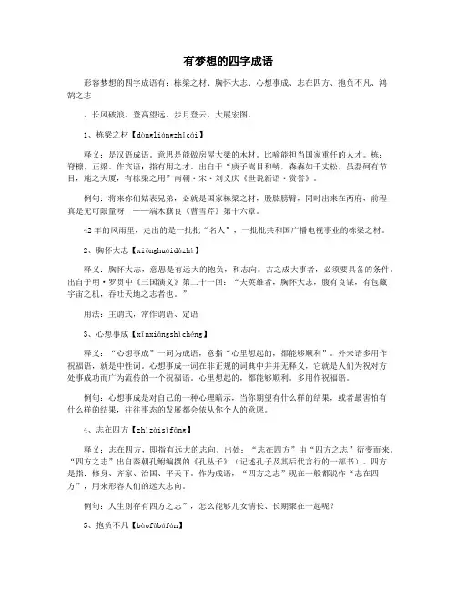 有梦想的四字成语