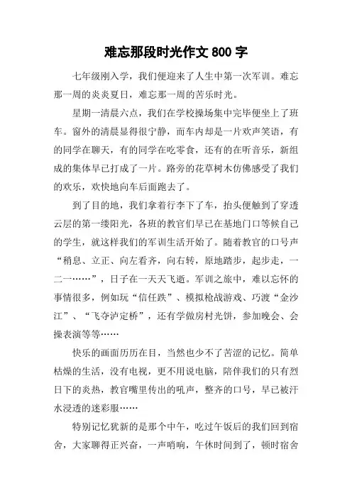 难忘那段时光作文800字_1