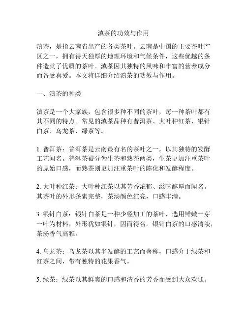 滇茶的功效与作用