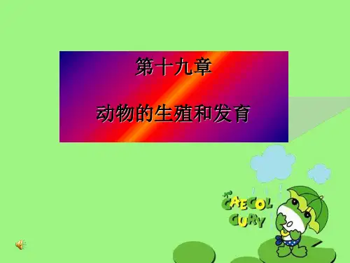 动物的生殖和发育PPT课件 苏科版