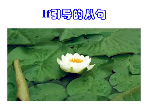 if 从句——if 引导的条件状语从句和宾语从句
