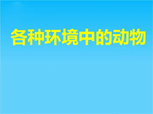 八年级生物上册 水中生活的动物课件 人教新课标版