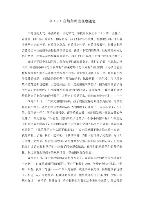 观察自然角反思