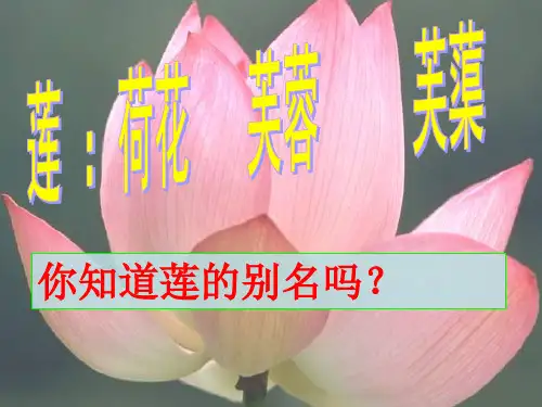 爱莲说