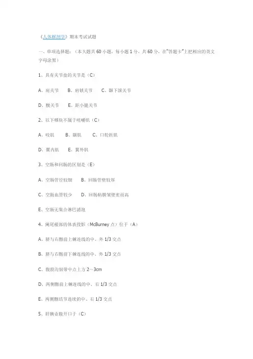 人体解剖学考题