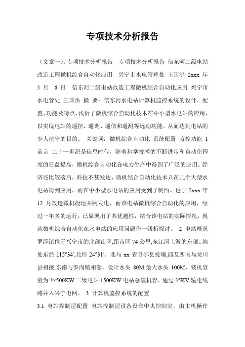 专项技术分析报告