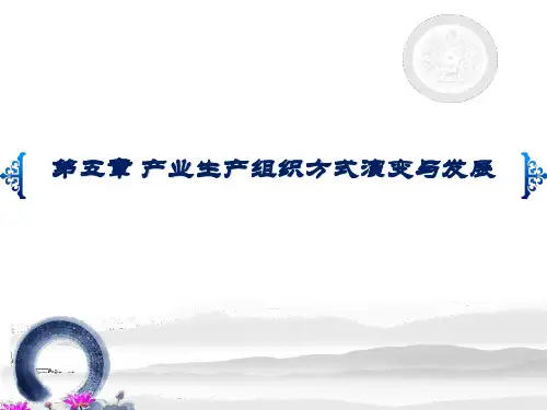第五章 产业生产组织方式演变与发展