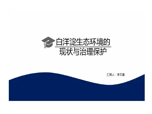 白洋淀生态环境现状与治理保护共19页