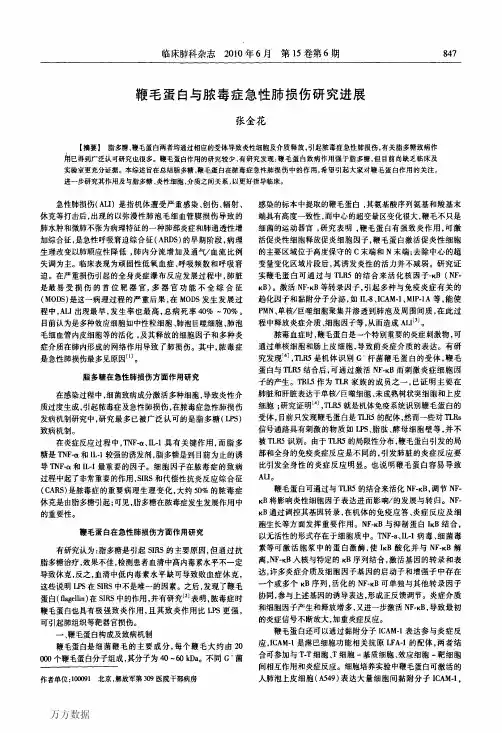 鞭毛蛋白与脓毒症急性肺损伤研究进展