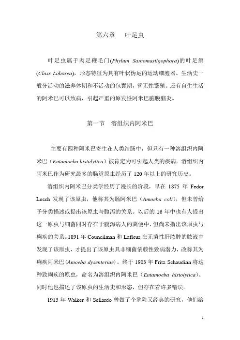 第六章叶足虫