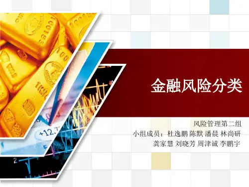 金融风险分类