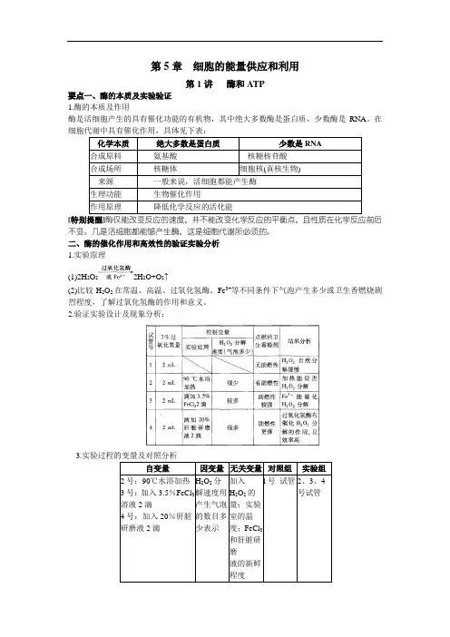 高一生物第5章 细胞的能量供应和利用知识点及例题