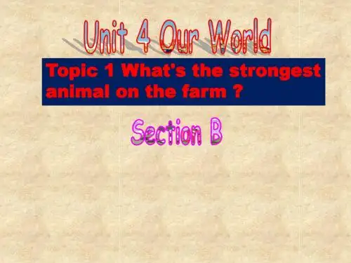 仁爱版八年级英语上册 Unit 4 Topic 1 Section B 课件(共20张PPT)