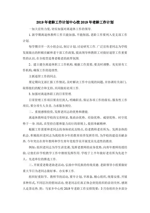 2019年老龄工作计划 中心校2019年老龄工作计划 精品