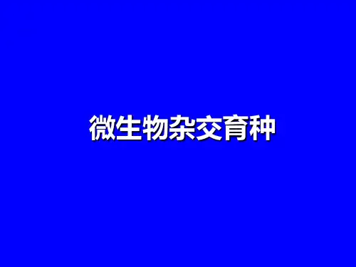 杂交育种