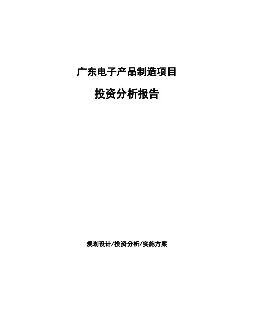 广东电子产品制造项目投资分析报告