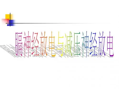 膈神经放电与减压神经放电(精)