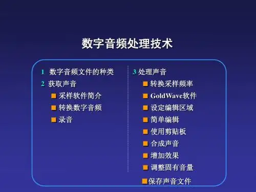 数字音频处理