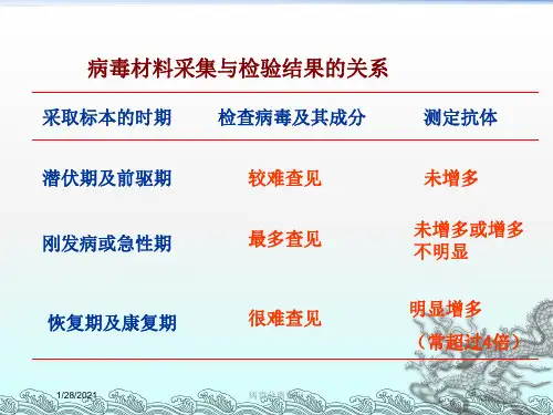 病毒分离鉴定培训课件