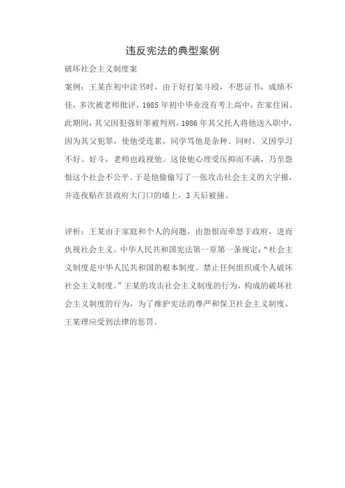 违反宪法的典型案例