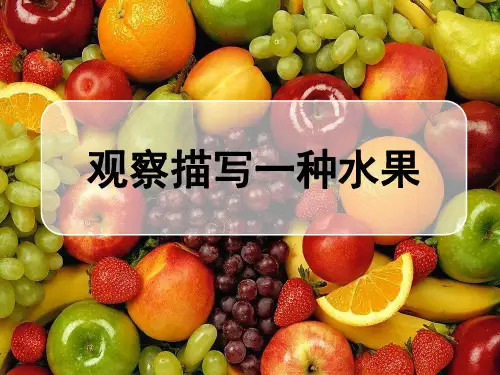《观察描写水果》作文课件