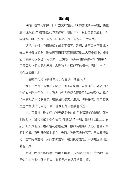 初二作文：雪中情作文500字