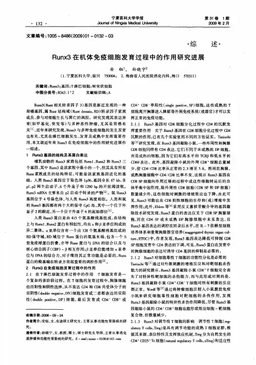 Runx3在机体免疫细胞发育过程中的作用研究进展