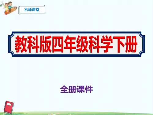教科版四年级下册科学全册课件PPT