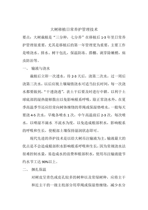 大树移植日常养护管理技术