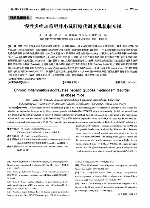 慢性炎症加重肥胖小鼠肝糖代谢紊乱机制初探