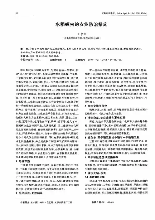水稻螟虫的农业防治措施