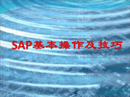SAP基本操作及技巧