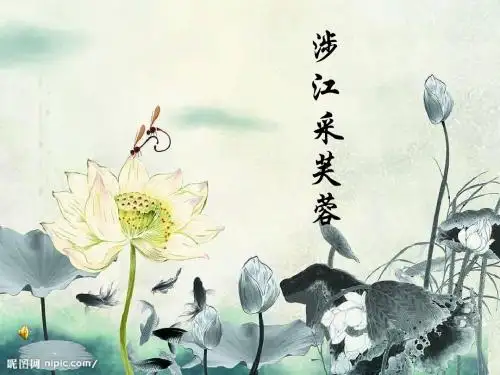 2017秋北京课改版语文七上第12课《涉江采芙蓉》ppt课件1